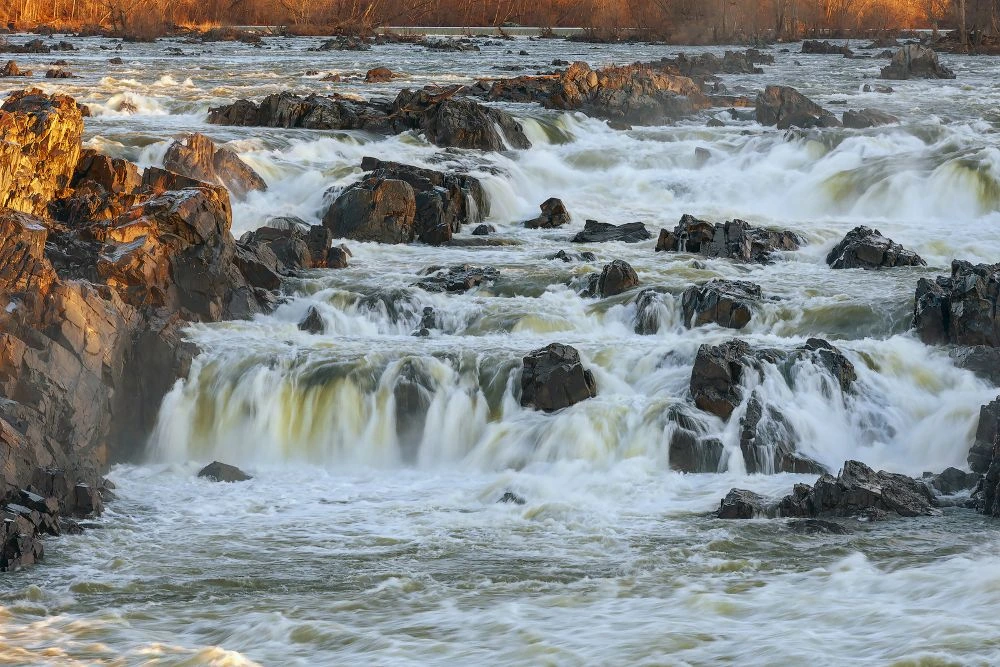 Falling Waters Property Management